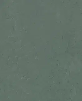 Marmoleum solid concrete FORBO Marmoleum solid concrete Taiga 3752