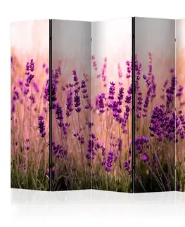 Paravány Paraván Lavender in the Rain Dekorhome