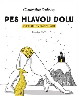 Joga, meditácia Pes hlavou dolu - Clémentine Erpicum,Andrea Černáková