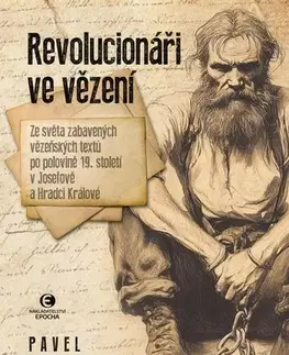 Fejtóny, rozhovory, reportáže Revolucionáři ve vězení - Pavel Heřmánek