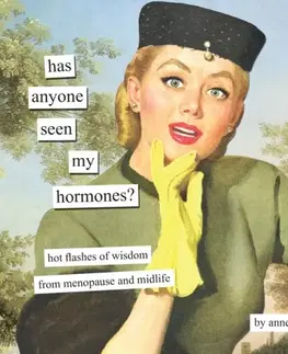 Humor a satira Has Anyone Seen My Hormones? - Anne Taintor