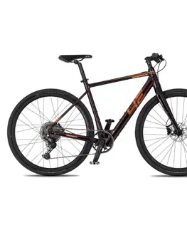 Elektrobicykle 4EVER ENGRAVE FLAT 28" titan/hologram - 22" (180-190 cm)