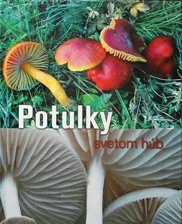 Hubárstvo Potulky svetom húb - Sándor Farkas