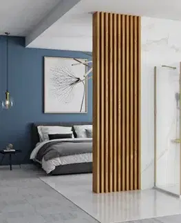Sprchové dvere REA/S - Rohový sprchovací kút RAPID SWING Brush Gold Dvere: 90 x Sprchová zástena: 100 KPL-02522