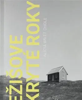 Kresťanstvo Ježišove skryté roky - Alicia Britt Choleová