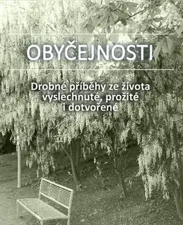 Humor a satira Obyčejnosti - Jana Vargová