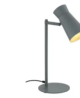 Lampy Argon 8872 - Stolná lampa LORD 1xE14/7W/230V sivá 8872