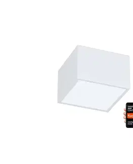 Svietidlá  NEO 07072L-15 - LED Stmievateľné svietidlo CANTO LED/12W/230V biela 07072L-15