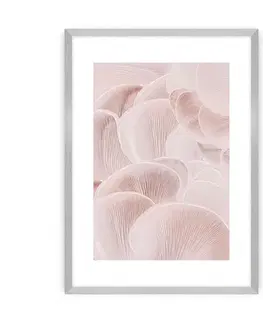 Obrazy Plagát Pastel Pink I