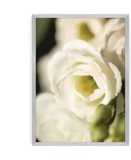 Obrazy Plagát Flower Wall