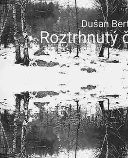 Detektívky, trilery, horory Roztrhnutý čas II. - Dušan Bertič