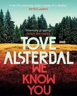 Detektívky, trilery, horory We Know You Remember - Tove Alsterdal,Alice Menzies