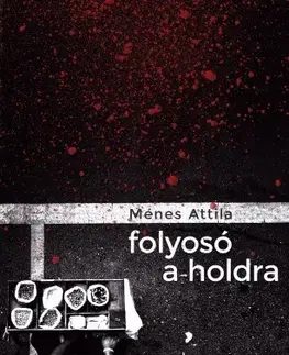 Svetová beletria Folyosó a holdra - Attila Ménes