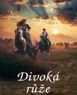 Romantická beletria Divoká růže - Hannah Howell
