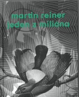 Svetová beletria Jeden z milióna - Martin Reiner,Silvester Lavrík