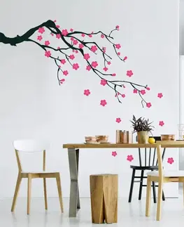 Šablóny na maľovanie Šablóny - Sakura