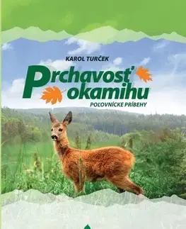 Slovenská beletria Prchavosť okamihu - Karol Turček