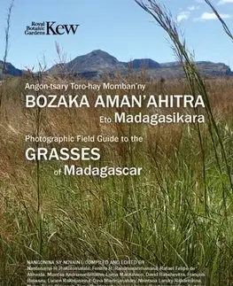 Záhrada Field Guide of Common Grasses of Madagascar - Fenitra Randrianarimanana,Nantenaina Rakotomalala