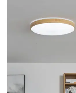 Svietidlá BRILAGI - stmievateľné LED stropné svietidlo PINE LED/24W/230V + diaľkové ovládanie BRLD400-24W/LED/SD
