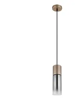 Svietidlá Globo 21000HCA - Závesné svietidlo ANNIKA na lane 1xE27/25W/230V, priemer 10,5 cm 21000HCA