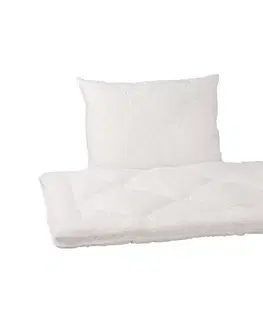 Vankúše HomeDoctor - Protiroztočový vankúš STOPMITE PREMIUM 40x60 cm + prikrývka 100x135 cm 3760