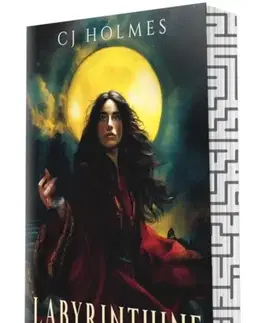 Romantická beletria Labyrinthine - CJ Holmes