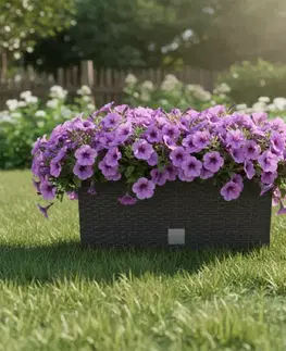 Záhradné kvetináče ProsperPlast Kvetináč RATO CASE s vkladom | umbra 39,5 cm