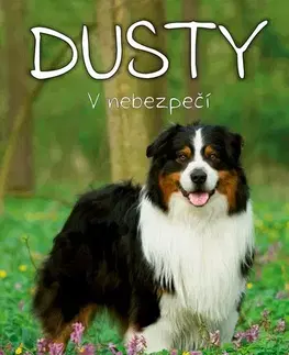 Dobrodružstvo, napätie, western Dusty: V nebezpečí - Jan Andersen