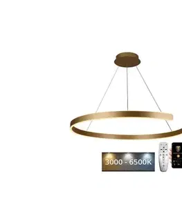 Svietidlá  LED Stmievateľný luster na lanku LED/100W/230V 3000-6500K + diaľkové ovládanie J4327/G