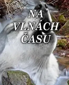 Romantická beletria Na vlnách času - Ali Dvořáčková
