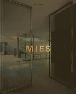 Architektúra Mies - Detlef Mertins