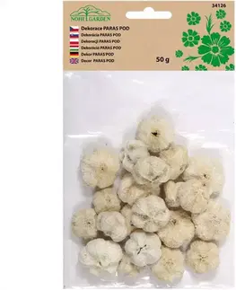 Bytové dekorácie Dekorácie sušiny Paras White prírodné 50g