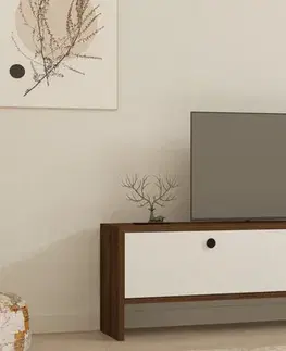 TV stolíky TV stolík Gaye - Walnut, White