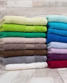 Uteráky Uterák froté biely 50x100cm TiaHome