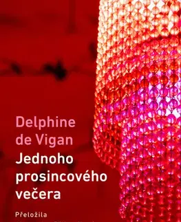 Romantická beletria Jednoho prosincového večera - Delphine de Vigan