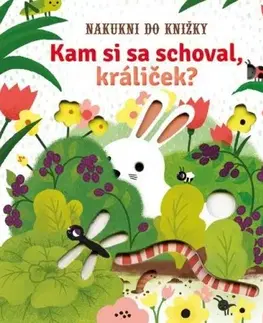 Leporelá, krabičky, puzzle knihy Kam si sa schoval králiček? Nakukni do knižky - Sam Tamplin