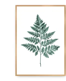 Obrazy Plagát Fern 21 x 30 cm Emerald Green