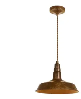 Svietidlá  62001555 - Luster na lanku VESNA 1xE27/60W/230V 62001555