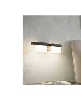 Svietidlá Eglo 98877 - LED Nástenné svietidlo ERVIDEL 2xLED/4,5W/230V 98877