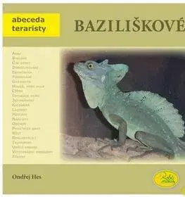 Zvieratá, chovateľstvo - ostatné Baziliškové - Ondřej Hes