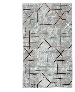Moderné koberce Koberec Levizze 0,8/1,5 LV2 NA838 LVT44