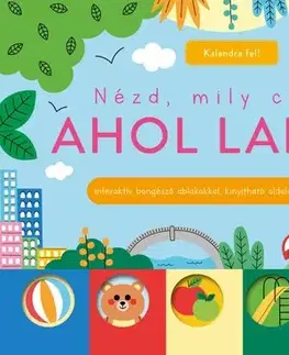 Leporelá, krabičky, puzzle knihy Nézd, mily csodás, ahol lakom! - Sarah Lock,Katalin Bogos