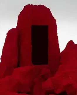 Sochárstvo, plastika Anish Kapoor - Anish Kapoor