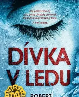 Detektívky, trilery, horory Dívka v ledu (1) - Robert Bryndza