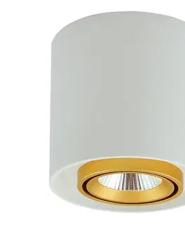 Svietidlá  LED Bodové svietidlo XENO LED/15W/230V biela 1200lm 312051