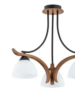 Svietidlá  Prisadený luster BAFIA 3xE27/15W/230V hnedá 26123