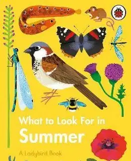 V cudzom jazyku What to Look For in Summer - Elizabeth Jenner,Natasha Durley