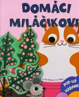 Leporelá, krabičky, puzzle knihy Pop-up hádanky: Domáci miláčikovia