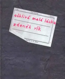 Romantická beletria Ošklivá malá láska - Vlk Zdeněk