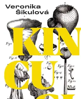 Slovenská beletria Kincugi - Veronika Šikulová